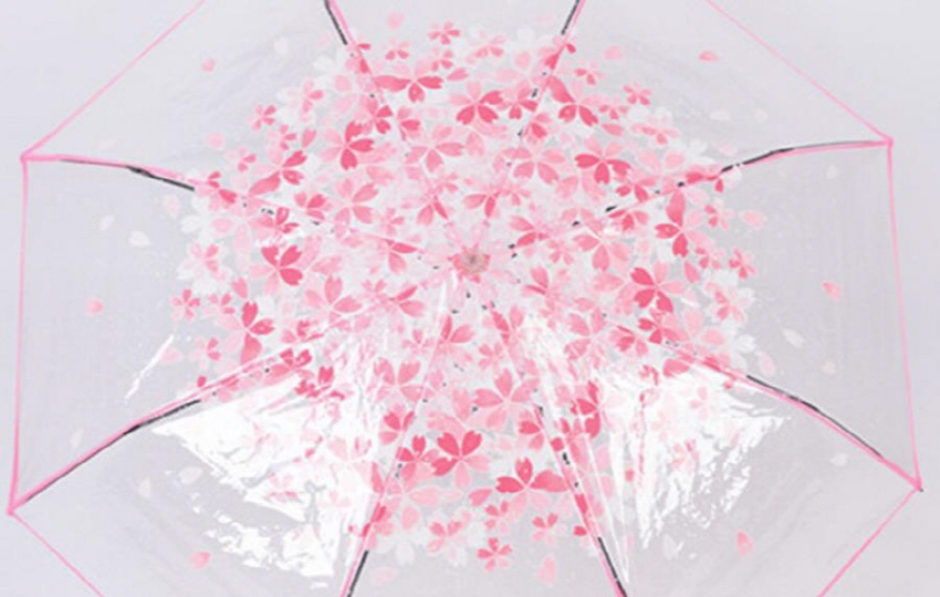 크기변환_벚꽃우산