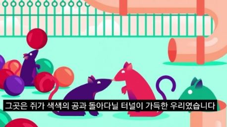 쥐공원 실험 3