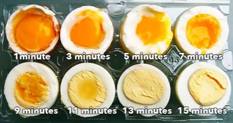 달걀 계란 2