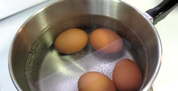 달걀 계란 1