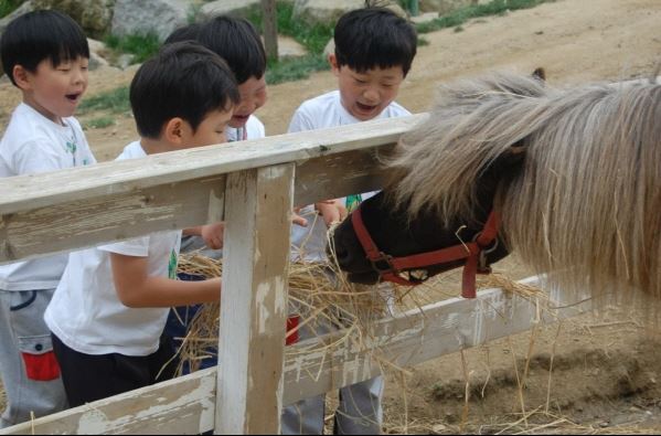 동물체험