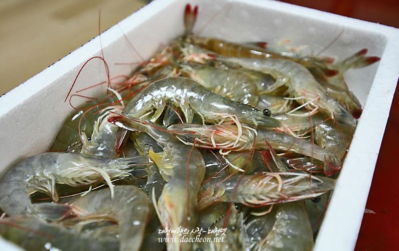 무창포 대하 전어 축제