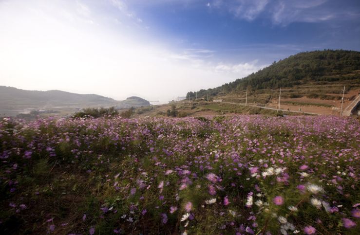 슬로시티 청산도 풍광