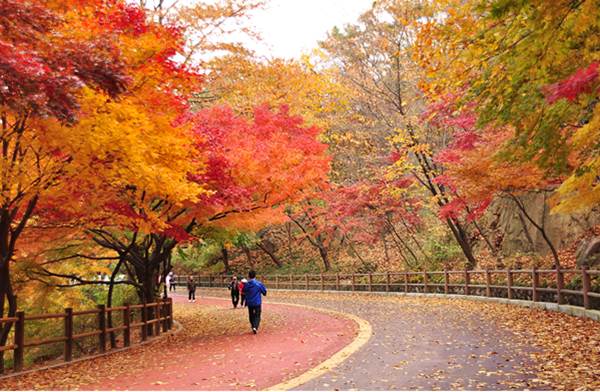 남산 북측순환로