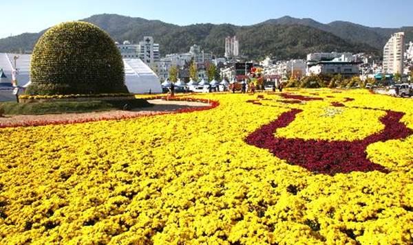 마산 가고파 국화 축제