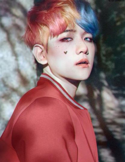 엑소 백현 할리퀸