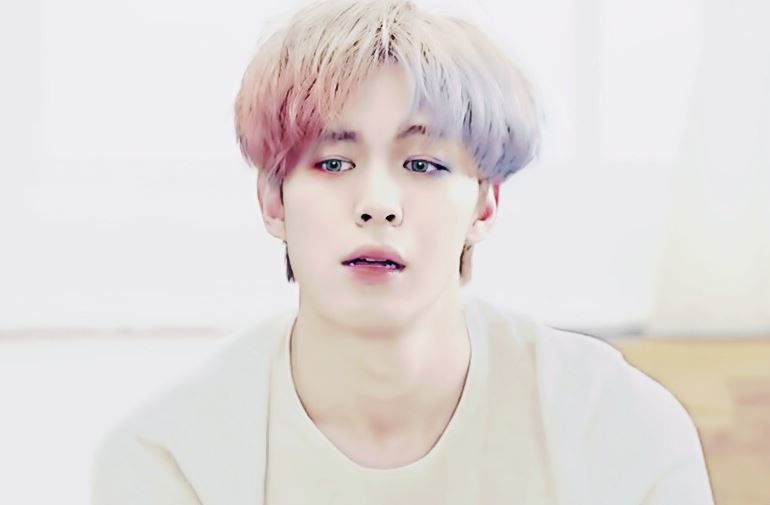 빅스 홍빈 할리퀸