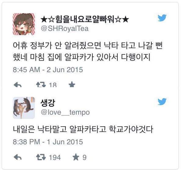 메르스 낙타5