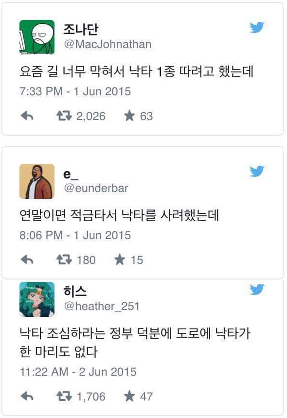 메르스 낙타6