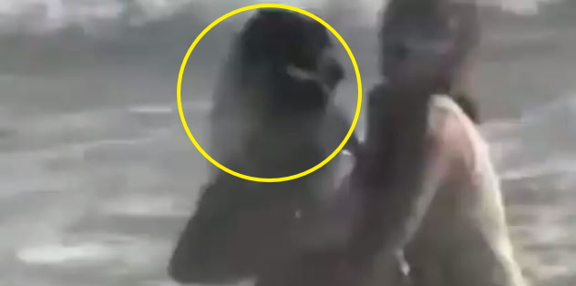 문어4