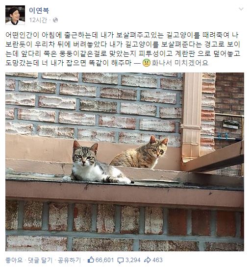 이연복 고양이