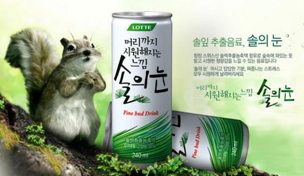 솔의눈