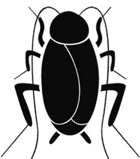 바퀴벌레