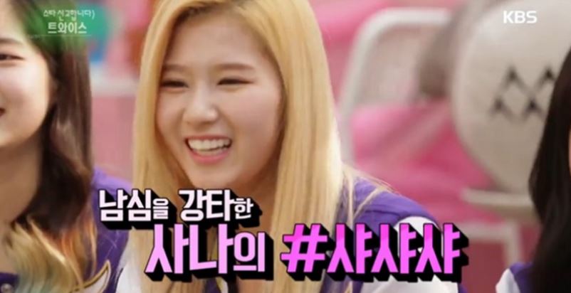 트와이스 사나 샤샤샤