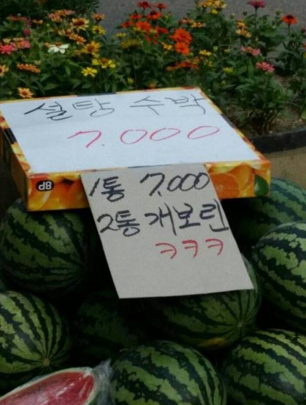 수박두통3