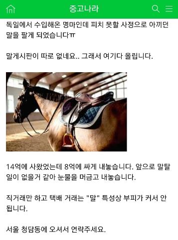 말 팔아요 2
