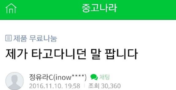 말 팔아요 0