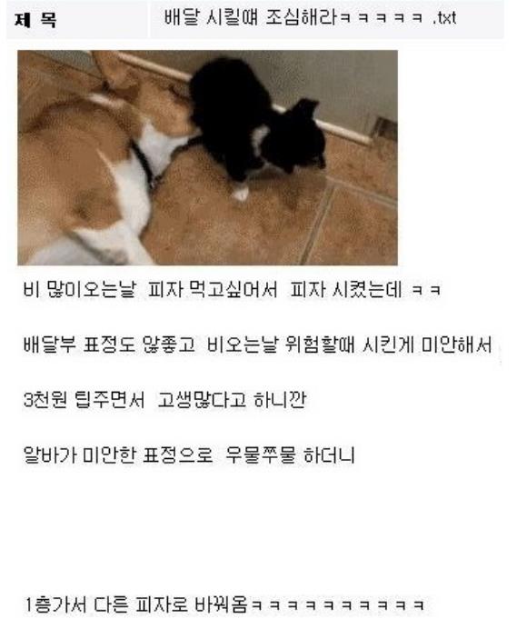 비오는배달2