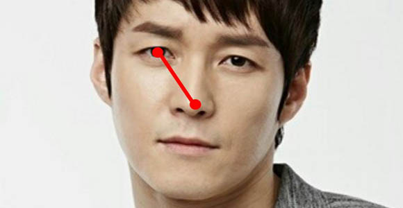 코끝길이