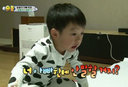 서언서준 2