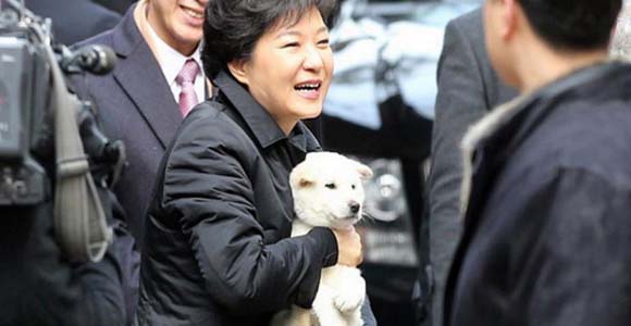 박근혜진돗개