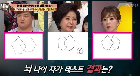 뇌나이 그림테스트 1