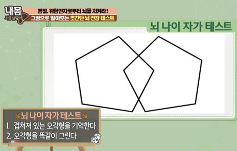 뇌나이 그림테스트 2