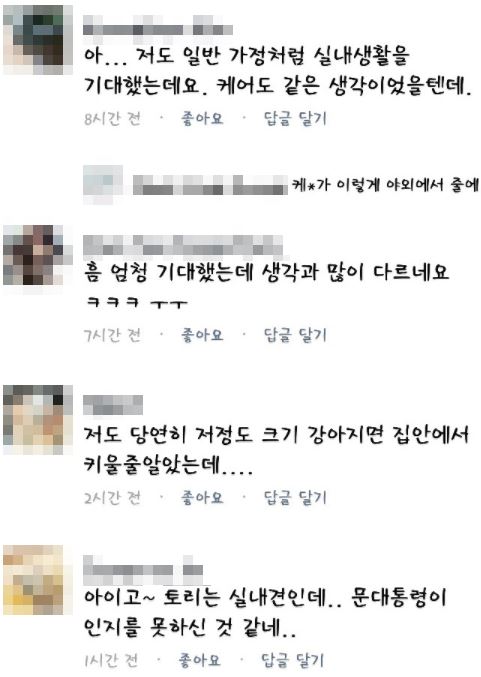 문재인 강아지 2