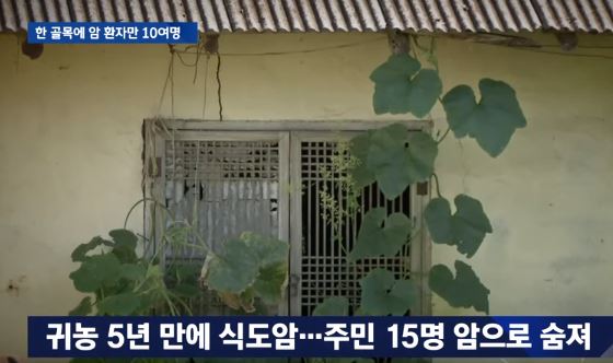 유해물질 2