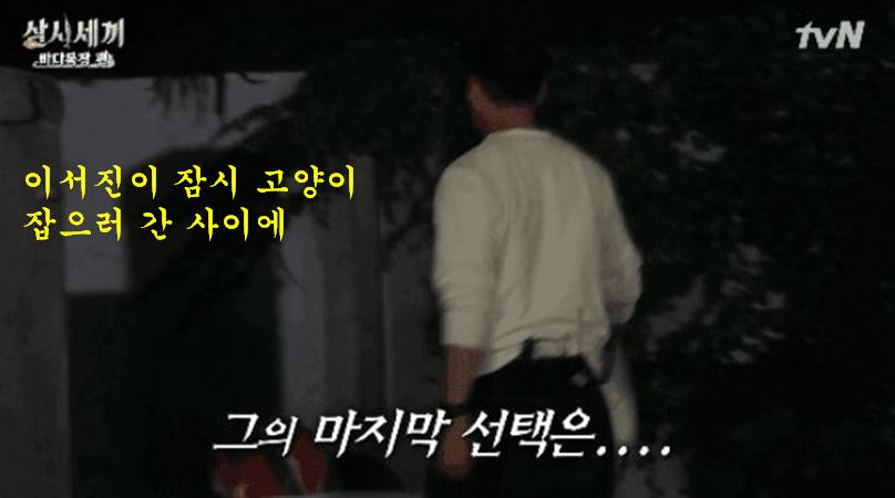 시간차 편집 실수5