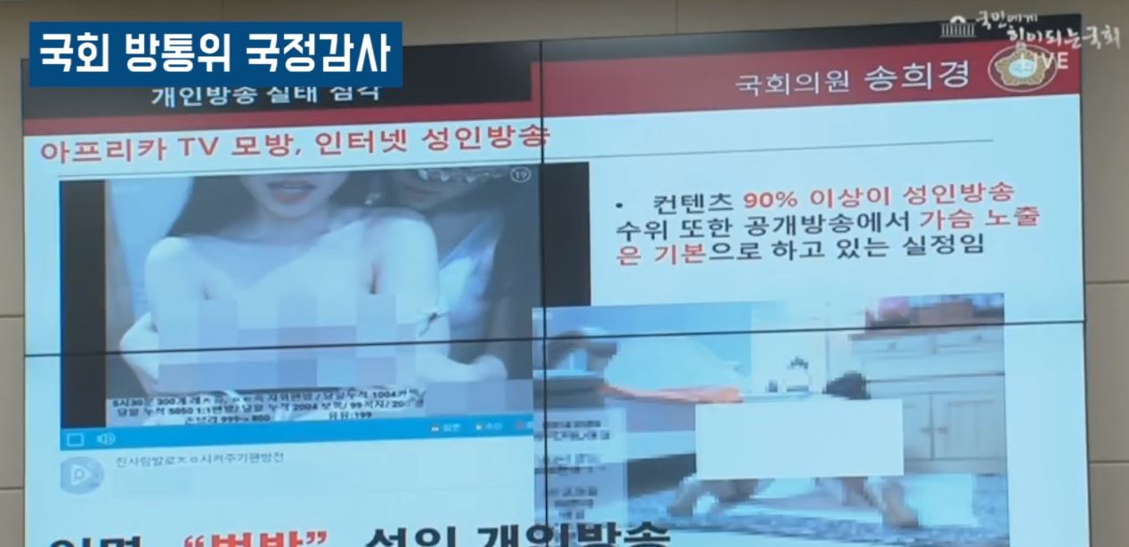 아프리카주식3