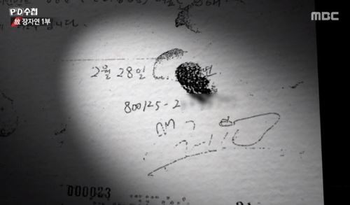 장자연 3