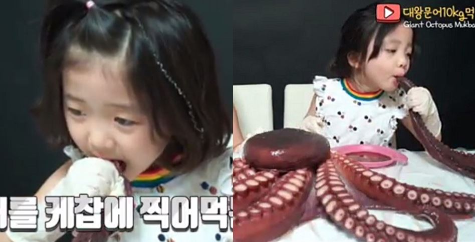 뚜아뚜지 문어 0