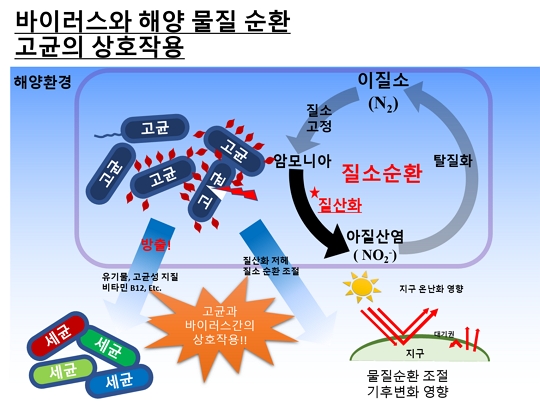 해양 바이러스1