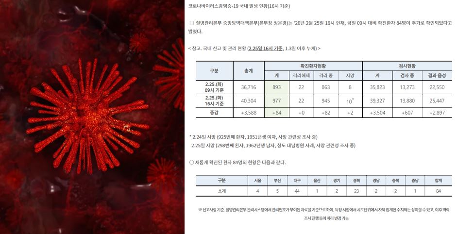 25일 오후 4시 기준 0