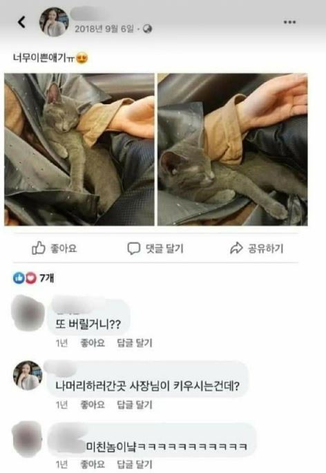 코비 견주 추정 댓글 1