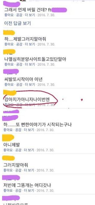 코비 견주 추정 댓글 3