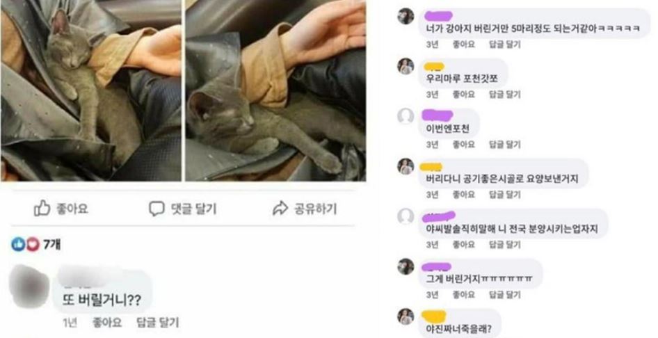 코비 견주 추정 댓글 0