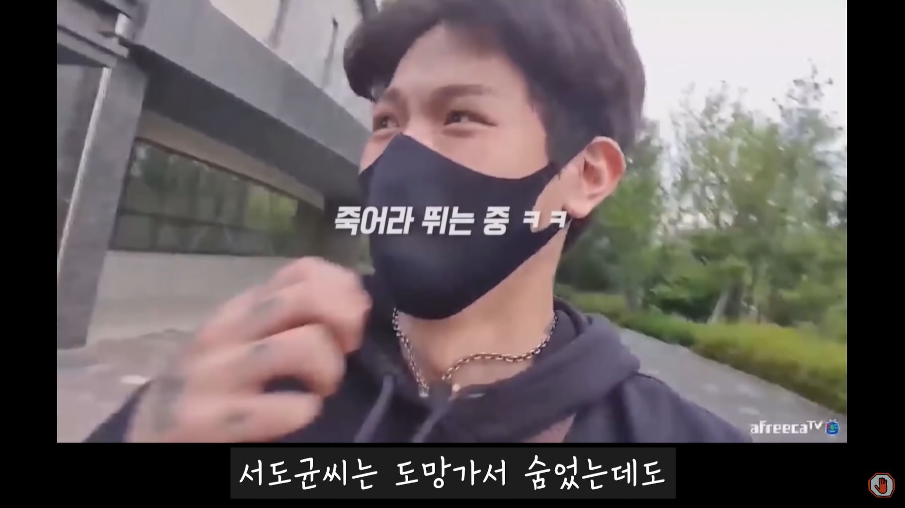 주작감별사1
