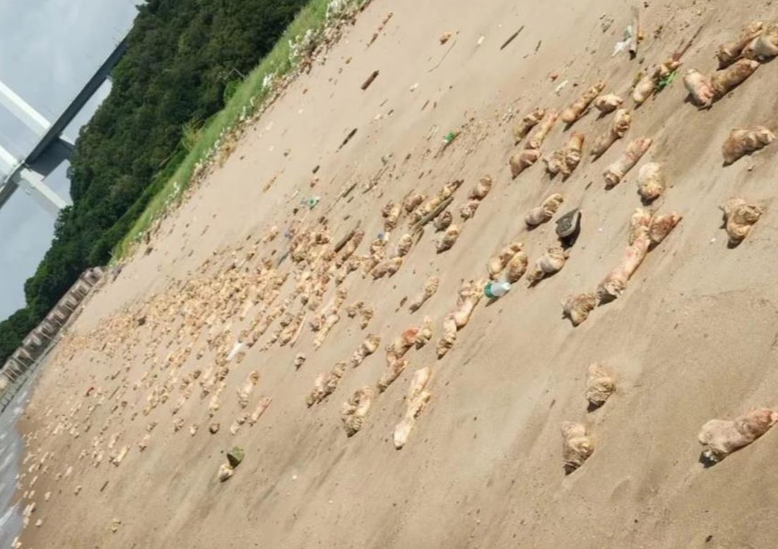 족발