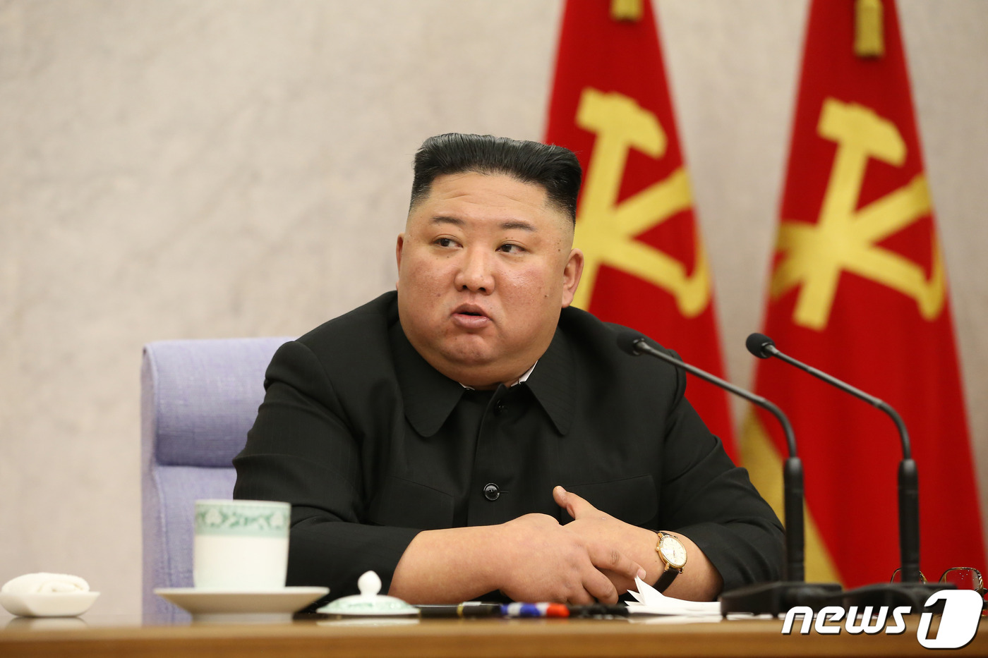 통일부北김정은국무위원장‧프레지던트호칭이적합