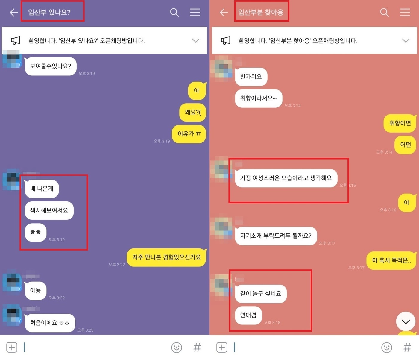 임신부찾아요섹시한배보여줘…카톡오픈채팅방경악