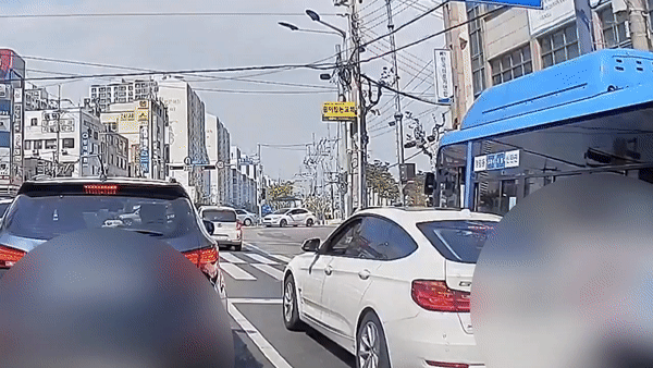 창밖커피버린차주신고돼범칙금5만원…물버려도처벌영상
