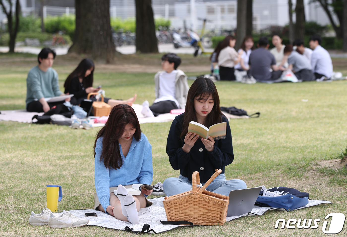 선배엠티함께가주세요고학번인기상한가…대학가에무슨일