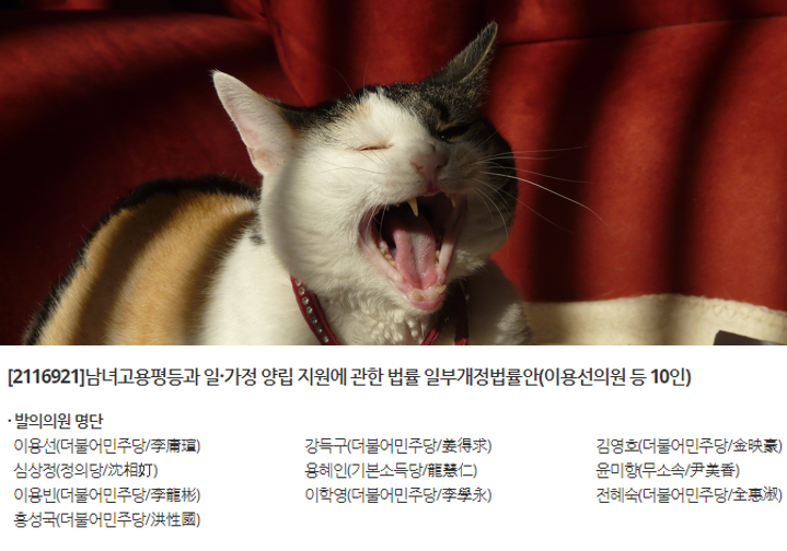 반려동물 법 폐지