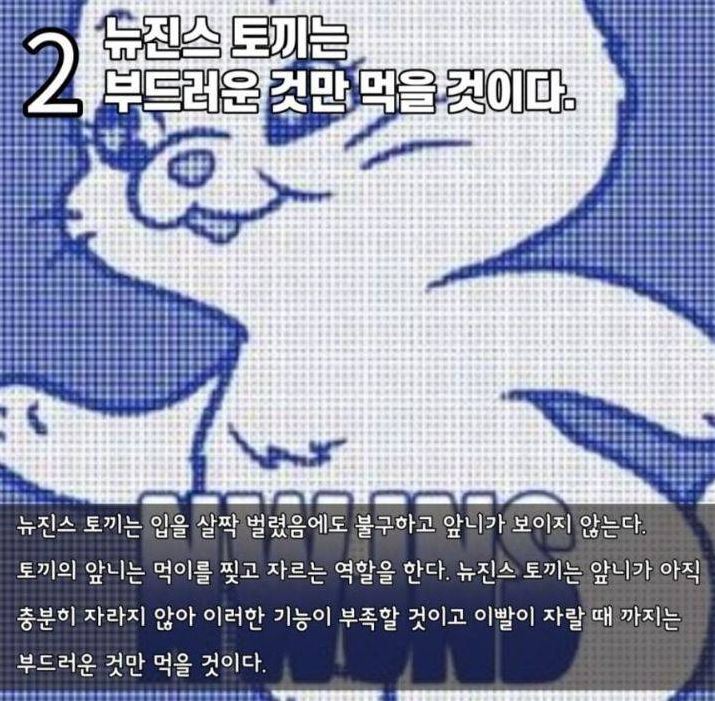 수의사 분석 토끼2