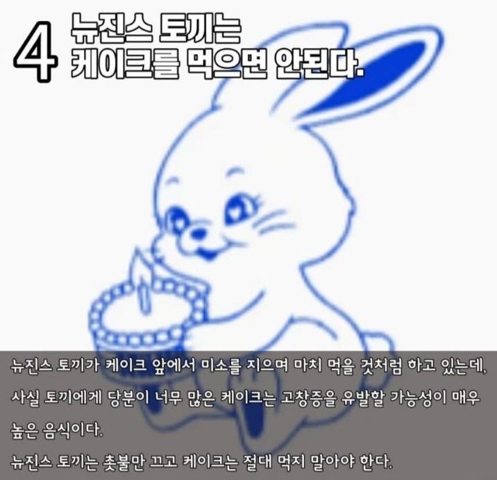 수의사 분석 토끼4