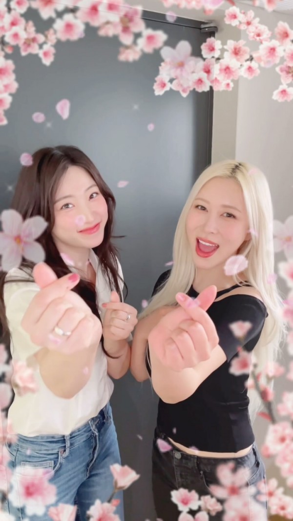 우주소녀 공식 인스타그램 이미지