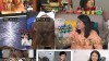 많이 본 기사-박나래 탈모 고백, 광배와 맞바꾼 머리카락 충격