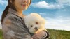 많이 본 기사-유기견과의 특별한 인연, 영화 '해피해피' 5월 29일 개봉